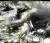 천리안 기상 위성에서 1일 촬영한 태풍 &#39;쁘라삐룬&#39;. [사진 기상청]