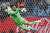 2일 열린 러시아월드컵 16강전에서 승부차기 선방을 펼치는 크로아티아의 다니엘 수바시치. [AP=연합뉴스]