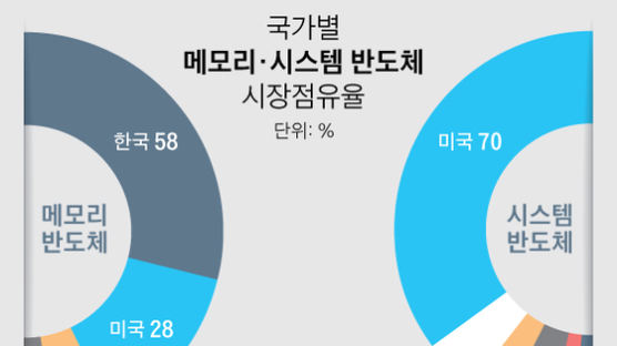 한국 D램 시장선 58% 압도, AI 등 미래반도체에선 3%뿐