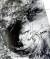 미 항공우주국 아쿠아(AQUA) 위성이 3일 오후 1시 56분에 촬영한 제7호 태풍 &#39;쁘라삐룬&#39;의 모습. [사진 기상청 홈페이지]