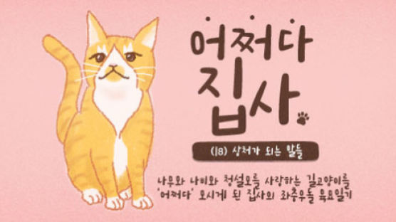 [어쩌다 집사] #18. 당신에게 '아는 집사'가 있다면, 이런 말은 넣어두세요