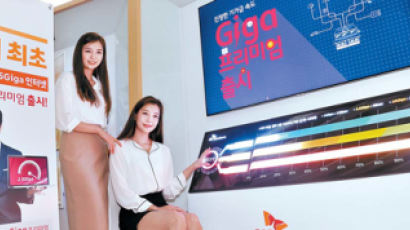 [2018 한국서비스품질지수-SK브로드밴드] G-PON 적용한 ‘기가 프리미엄’으로 최고 속도의 인터넷 서비스 제공