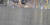  ‘황구렁이’가 경기도 연천군 차탄천 변 주상절리에서 모습을 드러냈다. [사진 연천동두천닷컴]