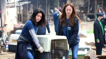 개농장을 보호소로…케어, 남양주 개농장 폐쇄·개 200여 마리 구조