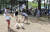 반려견과 주인들이 8일 개장한 삼막애견공원에서 산책하고 있다. 최정동 기자 