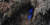 경기도 양주시 한 야산 흙벽에 만든 둥지로 들어가는 청호반새. [사진 의양동환경운동연합]  