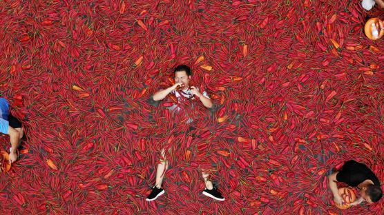 [서소문사진관]'니들이 빨간 맛을 알아?' 중국 고추 먹기 대회 