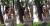 대구 중구 2·28 기념공원에 설치된 평화의 소녀상을 쓰다듬는 남성. [사진 페이스북 페이지 &#39;실시간 대구&#39;]