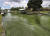 지난 10일(현지시간) 미국 플로리다 오케초비 호수에서 있는 녹조류가 수로를 따라 흐르고 있다. [AP=연합뉴스]