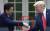 도널드 트럼프 미 대통령과 아베 신조 일본 총리가 지난 6월 7일 워싱턴 백악관 로즈 가든(Rose Garden)에서 열린 기자 회견에서 악수 나누는 장면.[AP=연합뉴스] 