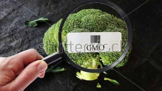 GMO 가공식품 가장 많이 수입한 기업 2위는 버거킹, 1위는