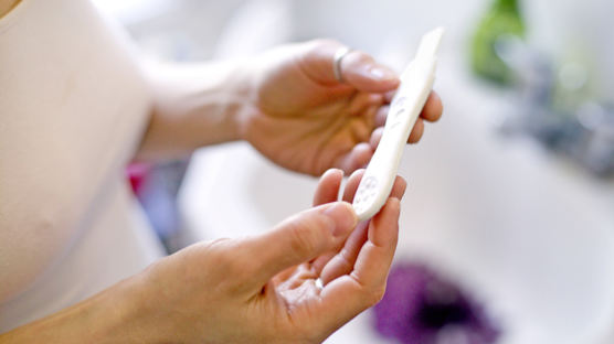 사내연애·혼전임신 이유로 해고 부당…法 "내밀한 자유영역"