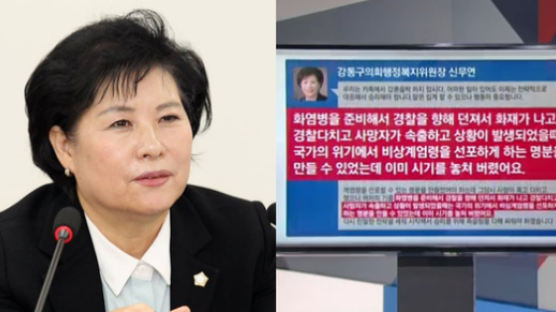 "화염병 던져 계엄령 명분 만들었어야" 강동구의원 발언 재조명