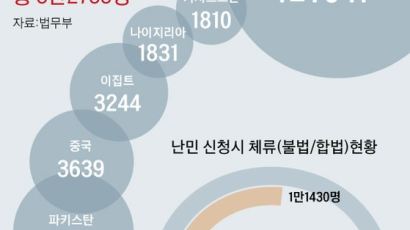 “난민 만들어줍니다” 인터넷 광고 … 가짜 난민 브로커 활개