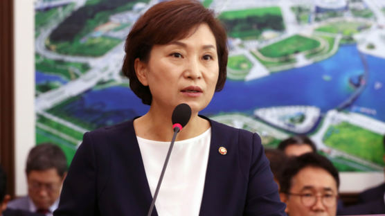 김현미, 박원순 ‘여의도·용산개발’에 제동