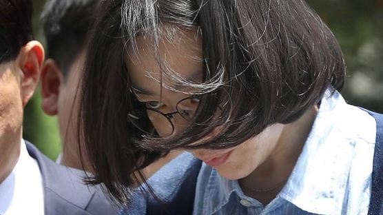 '6억대 밀수·관세포탈 혐의' 조현아 구속영장 기각 
