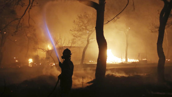 그리스 덮친 최악 산불…최소 74명 사망