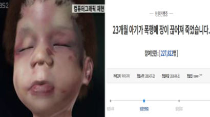 어린이집서 소장 파열 사망, 11년만에 재조명 된 '성민이 사건' 