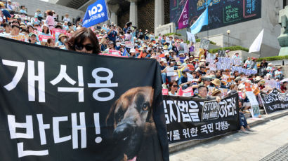 개 식용 경험자 75% ‘주변 권유’로 먹어