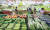 25일 경기도 수원시에 있는 하나로마트 수원점에서 시민들이 채소류를 살펴보고 있다. [뉴스1] 