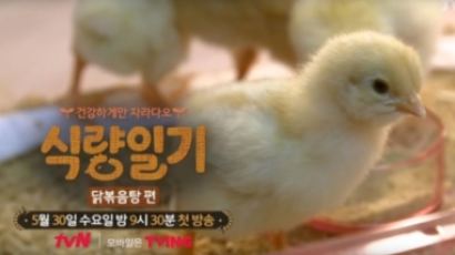“tvN 식량일기 닭볶음탕편서 키우던 닭은 어디로 갔을까”
