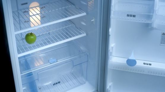 혼밥 싫은 어른들···왕후의 냉동실에 걸인의 냉장실
