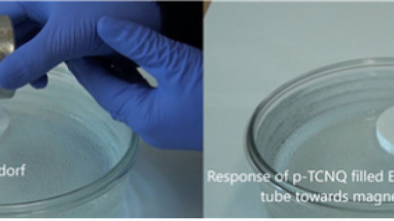 국내 연구진 세계 최초 '플라스틱 자석' 만들었다