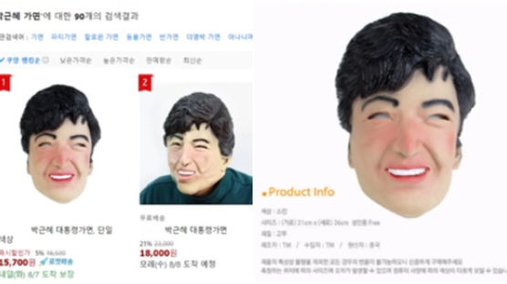 박근혜 ‘심기 경호’한 법원행정처? 가면 처벌 법리 검토했다