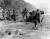 1950년 7월 한국전쟁에서 포격 중인 미군 [사진 미군]