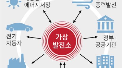 유럽·일본선 개인끼리 전기 팔고 사는데, 우리는 …