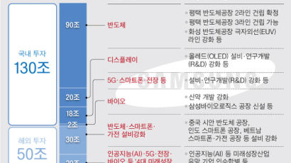 국내 반도체 90조, 4대 새 먹거리 M&A에 20조