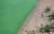 9일 오후 경남 함안군 창녕함안보 인근 낙동강이 녹조 현상으로 초록빛을 띠고 있다. 이 지점은 지난 1일부터 조류경보 &#39;경계&#39;가 발령됐다.[연합뉴스]