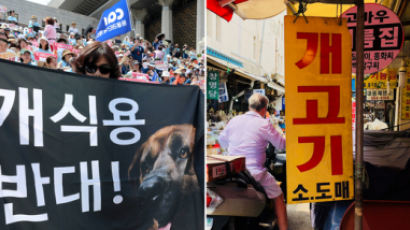 말복, 동물보호단체-식용견사육농가 도심서 맞불집회 예고