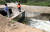 충남 예산군 신양면 차동리에서 마을 주민들이 도수로를 통해 끌어온 물을 지켜보고 있다. 이 물은 하천을 따라 예당저수지까지 흘러간다. 프리랜서 김성태