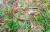 지난 12일 오후 1시쯤 강원도 설악산국립공원 백담 탐방안내소 근처에서 다람쥐와 누룩뱀이 다투는 영상이 공개돼 화제가 되고 있다. [뉴스1]
