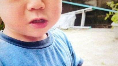 "나 여기 있어요" 일본서 실종된 두 살 소년, 3일 만에 숲에서 무사히 발견 