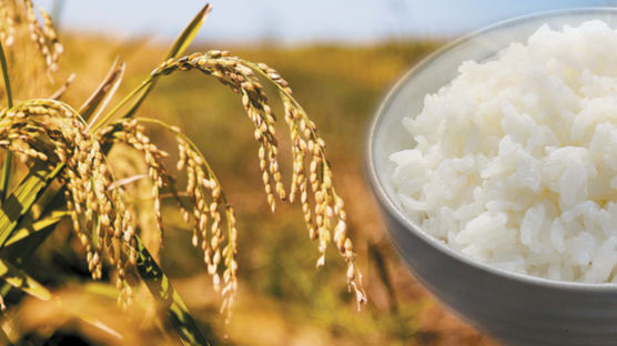 [食쌀을 합시다] 밥심으로 일군 한민족 역사 … 쌀은 희망 입니다