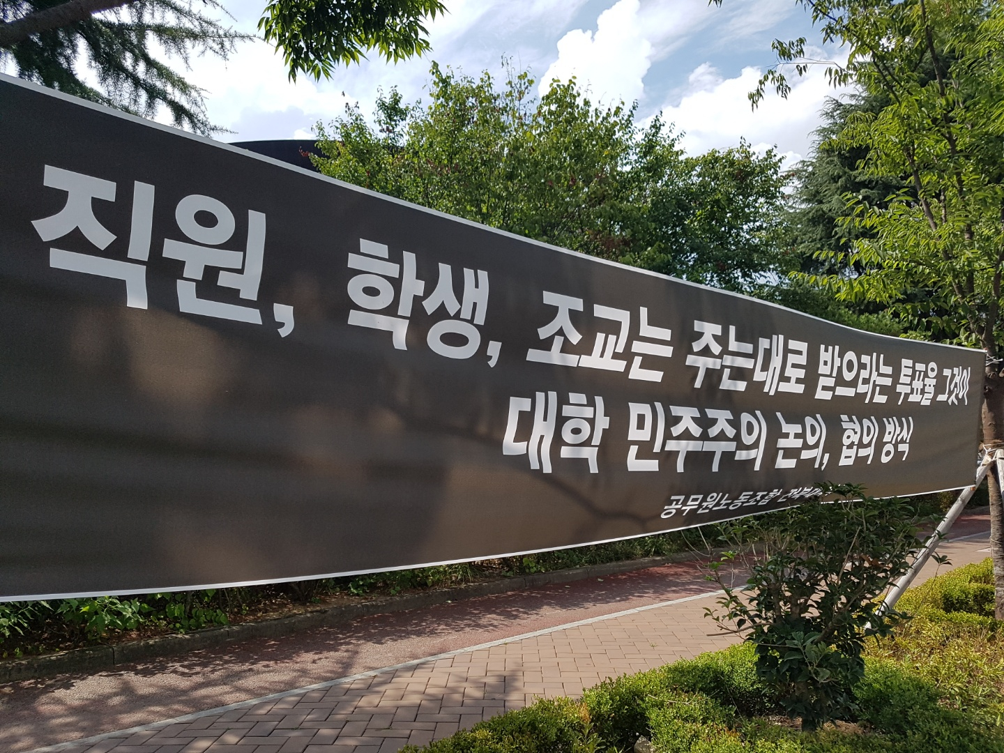 전북대 캠퍼스에 내걸린 교수회 규탄 현수막. 전주=김준희 기자