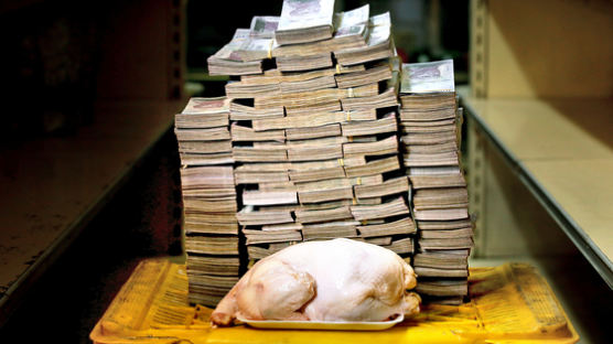 [사진] 베네수엘라, 닭 한 마리 값이 이만큼 …