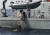 케이가 바다에서 구조선박에 오르는 모습 [AP=연합뉴스]