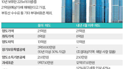 3주택자는 ‘강남 알짜’ 자녀에 증여…실수요자, 내년 1분기 급매물 노릴 만