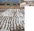 추수 끝난 마른 논에 웬 물이? 18일 포항시 북구 흥해읍에서 논에 물을 댄 듯한 일이 벌어졌다. 지진 이후 액상화현상으로 추정된다(왼쪽 사진). 물과 함께 모래와 점토층도 솟구쳤다. 포항=프리랜서 공정식