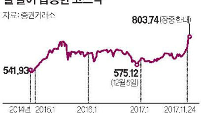 10년 만에 800 찍은 코스닥 ‘오버슈팅’ 논란