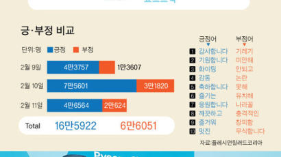 감사·기원·파이팅 … SNS 올림픽 연관어 72%가 긍정적