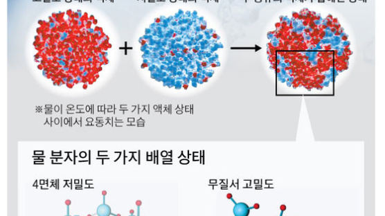 저밀도 4면체 vs 고밀도 무질서 … 물은 두 얼굴의 액체다