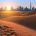 해양생물이 왜 여기서 나와?
‘샤르자 사막’ 한복판의 비밀