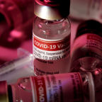 “코로나 백신 독성 가능성”
전세계 충격 준 美의사 실체
