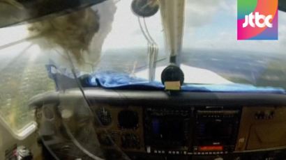 비행기 조종석 창문에 돌진한 새…"유리 폭발하는 줄"