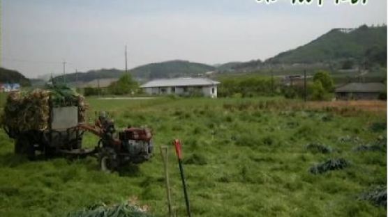 [2012 기업현장인터뷰 -‘나노팜스영농조합']유일하게 서산육쪽마늘만 고집하는 곳 