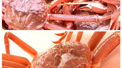 [2012 안전한식탁] 입맛을 꽉 채워줄 구룡포 대게-구룡포 수산물 한마당 잔치 